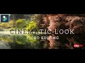 Filmora 9 | How to get the CINEMATIC LOOK in Filmora 9 Tutorial 2020 | Cinematic Look Effect