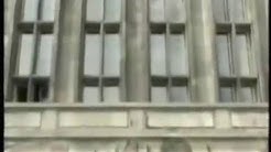 田中龍 Youtube
