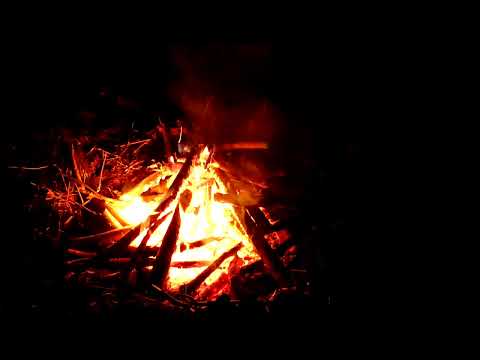 【ASMR/環境音】焚き火の音 | 炎の揺らめき | 野鳥の声【AI・リピート無し】