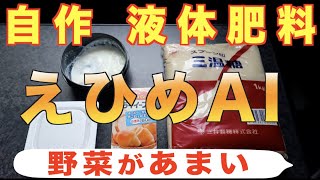 【DIY】野菜が美味しくなる液体肥料【えひめAI ２】の作り方&使い方！