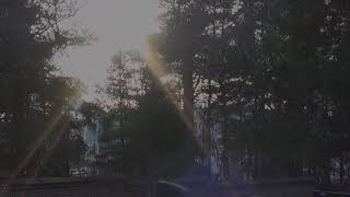 An orb at Kalevankangas Cemetery, Tampere, 16 November 2018