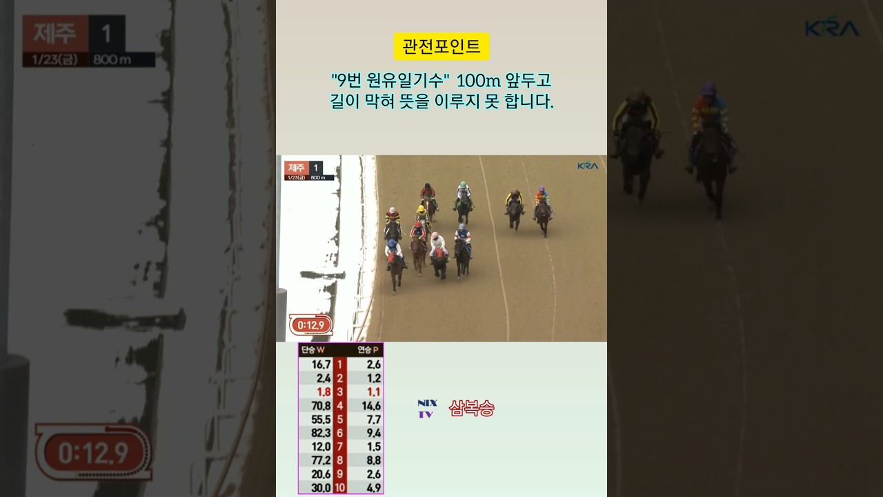 [경마] 3착 찾기 !