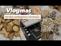 vlogmas #6 |  имбирное печенье // поиск адвент календаря 📆