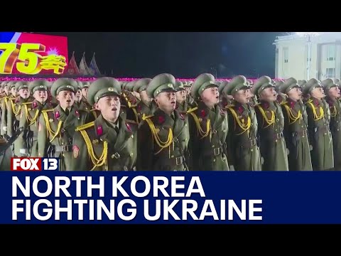 North Korea accused