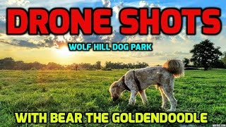 BEST DOG PARK! by Bear theGoldendoodle 331 views 7 years ago 2 minutes, 34 seconds