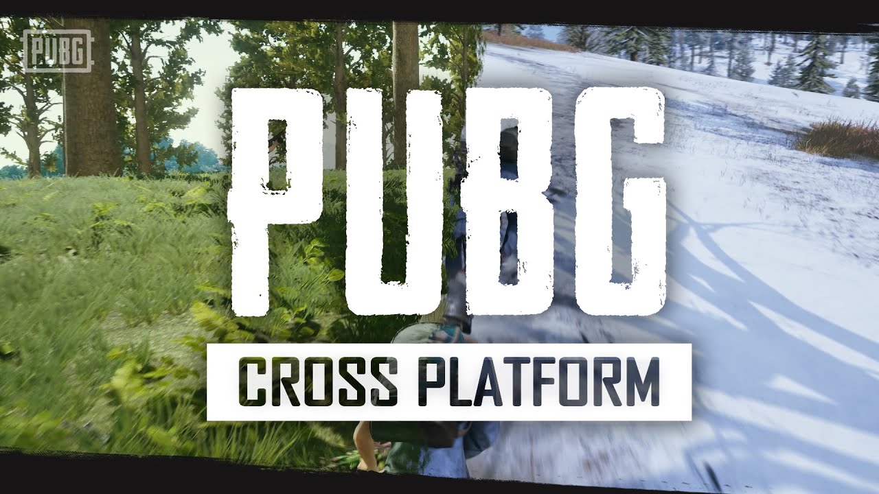 PUBG - Console - Cross Platform Play PUBG - Console - Cross Platform Play -