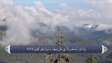 جاهلیت - سوره نحل 56 تا 59