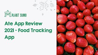 Ate App Review 2021 - Food Tracking App screenshot 5