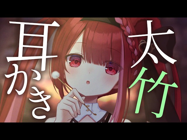 【ASMR/3Dio】太い竹で耳奥からごっそり搔き出す耳かき。ゴリゴリ耳掃除。睡眠┆カリカリ┆囁き┆Earcleaning┆Whispering┆Vtuber【星めぐり学園/切熊ゆに】