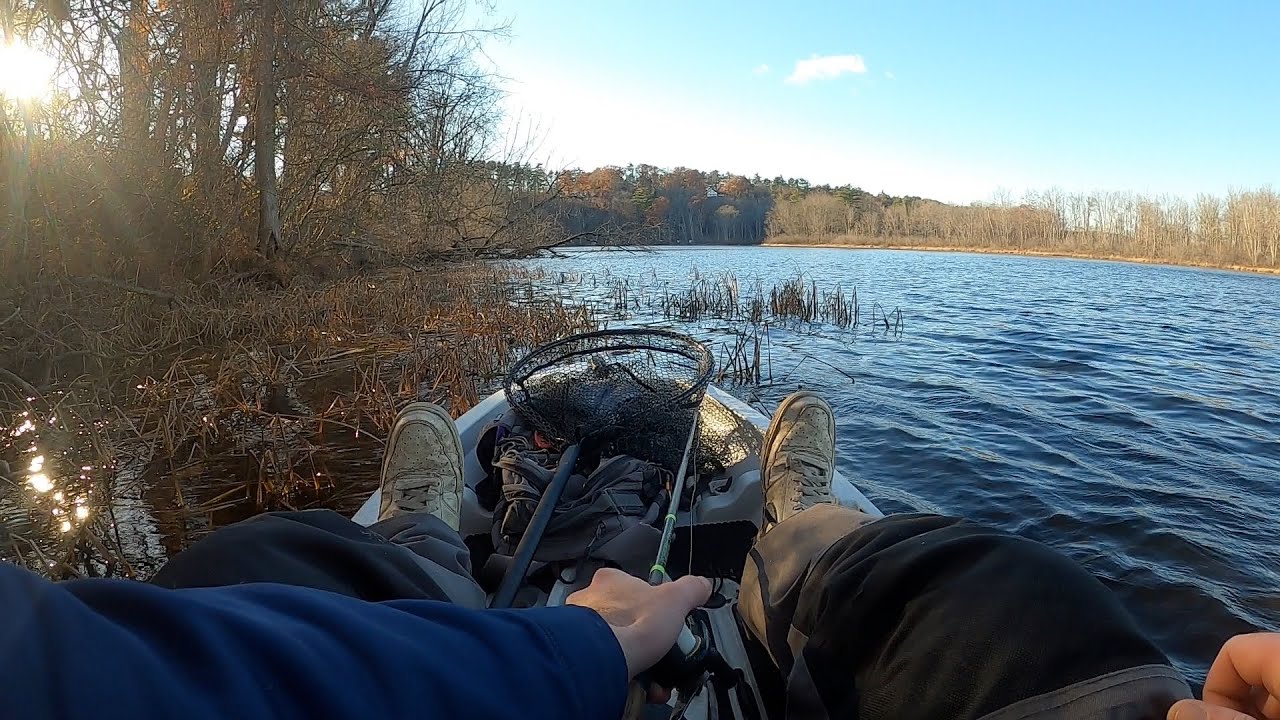Z-Man Project Z Weedless Chatterbait — Winter Bass Fishing