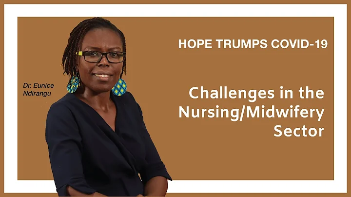 Challenges in the nursing/midwifery sector