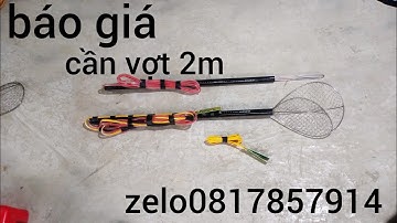 Cần vợt kích cá | vợt inox lh0817857914