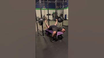 Paused bench 265