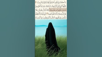 تلاوة مريحة لما تيسر من سورة الأحزاب #قران_كريم  #تلاوة_خاشعة #عملات_رقمية #راحه_نفسيه #quran