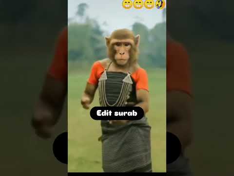 News Kokborok Song Sebikadvrm