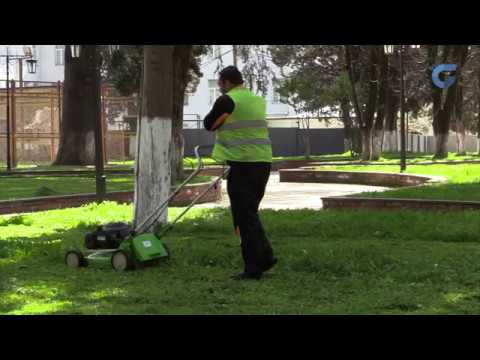 ირინეს პარკი ბალახისგან გაიწმინდა