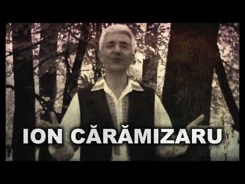 Cover Ion Cărămizaru - Omule trăiește viața
