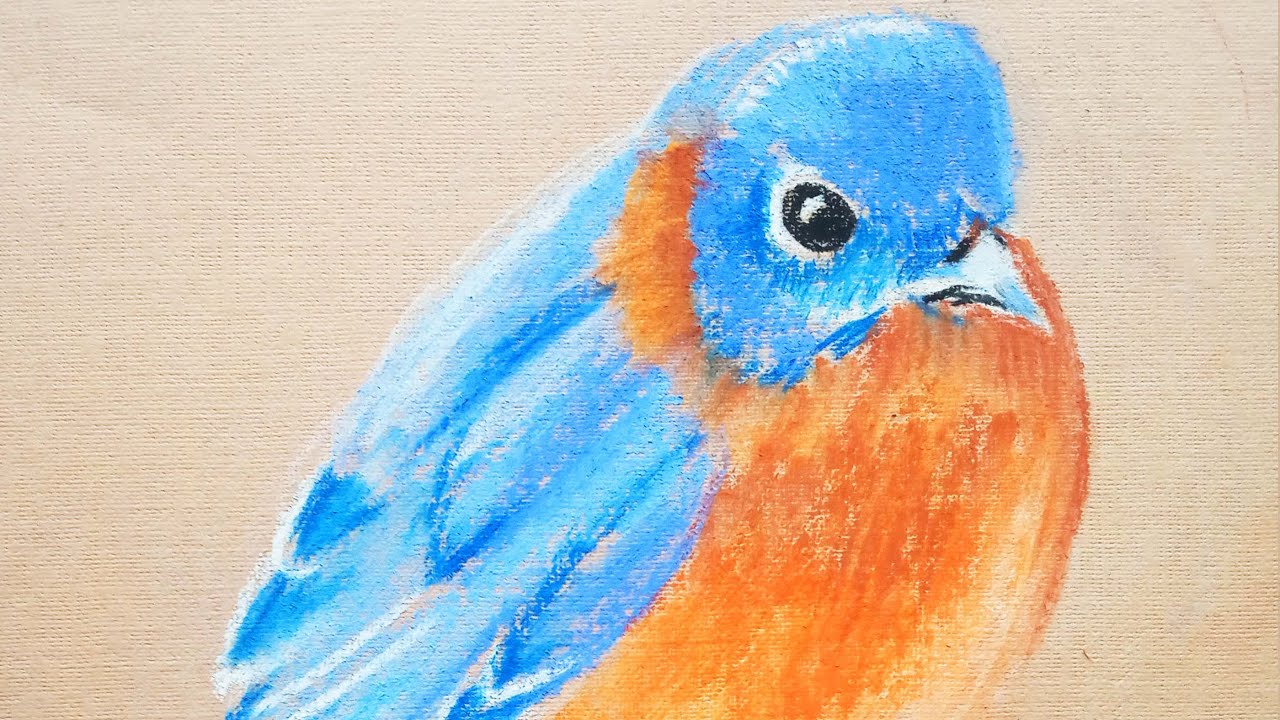 How to Draw a Blue Bird pastel lesson YouTube