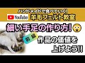 プロが教える！「細い手足の作り方！」が理解できる動画！　＃羊毛フェルト　＃羊毛フェルト教室　＃羊毛フェルト作家　＃羊毛フェルト猫　＃羊毛フェルト作り方
