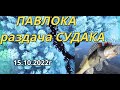 РЫБАЛКА на Павловском ВОДОХРАНИЛИЩЕ - выход СУДАКА