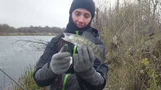 видео: Бурштин!!! Окунь і Судак на спінінг. Хижа рибка зайшла у канал. картинка: Бурштин!!! Окунь і Судак на спінінг. Хижа рибка зайшла у канал.
