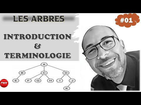 Vidéo: Qu'est-ce que la structure de données de l'arbre B ?