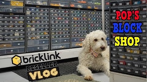 MINIFIGURE BACKLOG SORTING IS DONE / Working Full-time in LEGO Bricklink Store Organizing everything