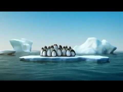 teamwork penguins ペンギン youtube building teamwork