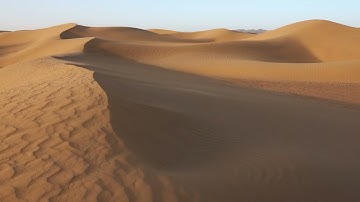 Pilgrims of Hope: Sustaining Strength for the Journey