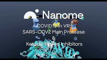 COVID-19 in VR: SARS-CoV-2 Main Protease and Ketone-based Inhibitors