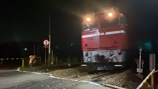 工9633レ 新地工臨EF81 80号機+ホキ4B 泉ー植田間を通過