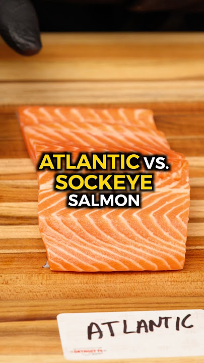 Atlantic Salmon vs Sockeye Salmon