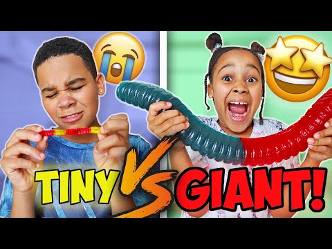 Giant Candy Vs Tiny Candy Challenge