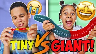 GIANT CANDY vs TINY CANDY CHALLENGE