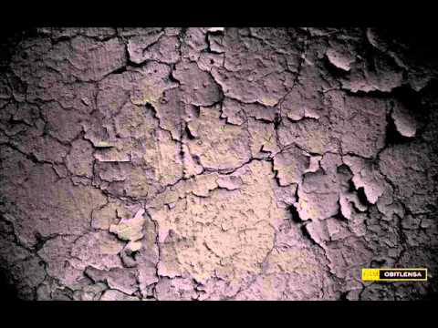 XPDC~Cekal With Lyrics