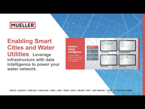Enabling Smart Cities