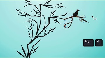 CorelDRAW Graphics Suite 2017 Mit Kurven arbeiten