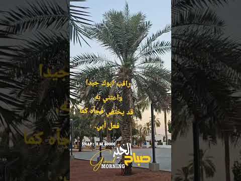 راقب ابوك جيدا واعتني به قد يختفي فجأه كما فعل أبي