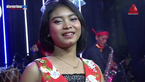 PANORAMA DIAN PRIMA 2   ALL ARTIS