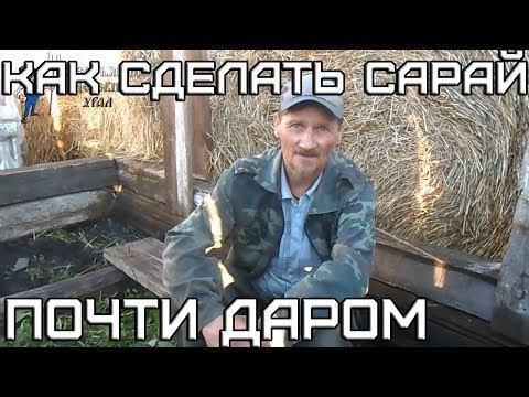 Сарай для теленка своими руками