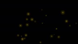 [HD] Footage fireflies