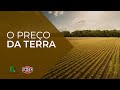 Sabe quanto vale um hectare de terra no Brasil?