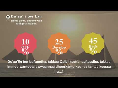 Kadhaan Keenya Maaf Fuudhamuu Dhabde Hin Jedhin Rakkoon As Jiraa