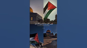 سورة التوبة #سعود_الشريم #فلسطين #مسجد_الاقصى #فلسطين_حرة #غزة