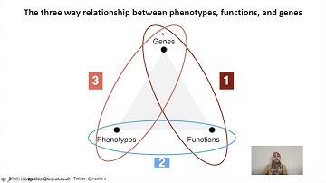 CytoData2020 | Heba Sailem (session 3)