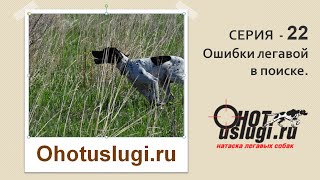 Серия 22 - Почему легавая делает ошибки. Секреты натаски легавых собак. Серия 22 - Почему легавая делает ошибки. Секреты натаски легавых собак.