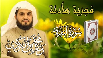 "تلاوة خيالية" لما تيسر من سورة البقرة من صلاة الفجر | القارئ رعد الكردي