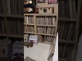 #catshorts #vinylreview #catsofyoutube #catlovers #catholic #catsvideo #vinylcommunity #classicrock