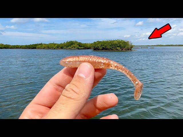 Crazy Spring Time Reds! - Fishing with Gulp Shrimp and Popping Cork 