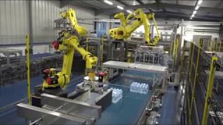 8002020 Palletizing System with Fanuc Robots and Pallet Wrapper 70 pallets/h